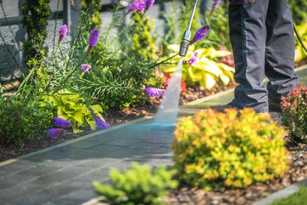 Best Spring Cleaning  in Queens Gate, PA