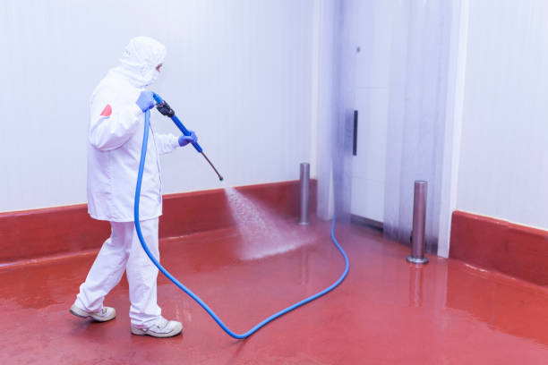 Best Rust Removal  in Queens Gate, PA