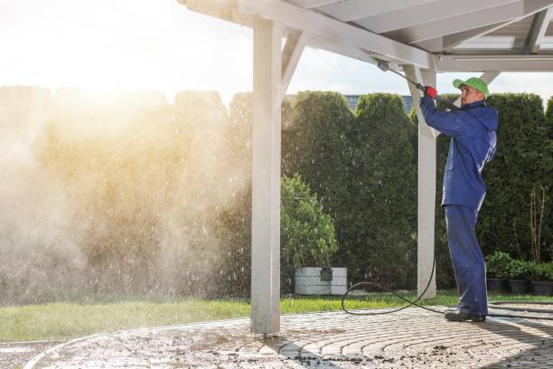 Pre-Holiday Cleaning in Queens Gate, PA